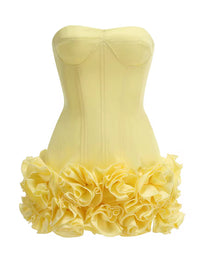 BLUSHIE DRESS